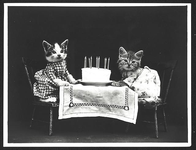 two kittens wearing dresses at a table with a birthday cake.